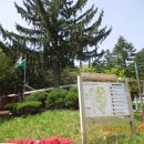 천마산 체육시설 이미지