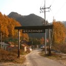 주천강강변자연휴양림 이미지