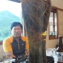 (주)삼열 Daum카페