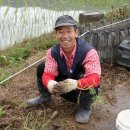 동내마을 이미지