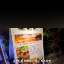 브런치&amp;레스토랑 [Heavenly Island Lifestyle Waikiki 헤븐리 아일랜드] 스테이크 칵테일 혼밥 후기