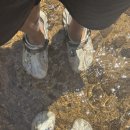 주식회사 포비 이미지