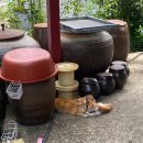 홍시먹으러곶감 | [전북 완주] 홍시메뉴 전문점, 카페 홍시먹으러곶감