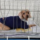 전동공영주차장 이미지