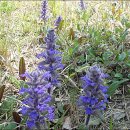 방축농장 이미지