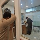 미용할개 | 안산 고양이 무마취 미용 추천 슈슈캣 3mm 미용 목욕 후기