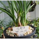 (주)금화 이미지