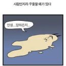 휘트니스요가 이미지