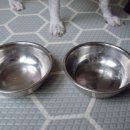 주식회사더좋은친구 이미지