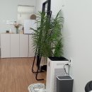 리사브로우 이미지