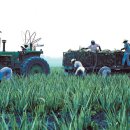 이병훈농장 이미지