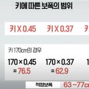 (생로병사의 비밀) 10cm 더 기적의 걷기 이미지