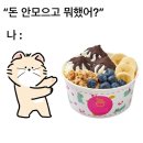 요거트 아이스크림의 정석 이미지