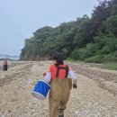 빛나수산 - 아산시 서부북로 876-1 | 안면도수산시장맛집 안면도횟집 추천 현해탄불곰수산 신선한 조개 포장 후기
