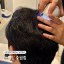 경기도 수원시 영통구 봉영로, 매영로 | 수원 영통두피관리 두피밥 방문 두피케어 후기