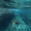 태평양환경 이미지