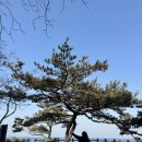 소라고래집 | 영흥도, 하늘고래전망대 보고 십리포해수욕장부터 장경리해수욕장까지!