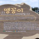 님과 함께 걸었던 이십리 길 이미지