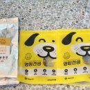 명랑견생 이미지