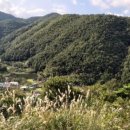 흥산2리 이미지