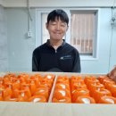 도봉온누리약국 이미지