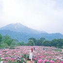 섬진강댐물문화관 화장실 이미지