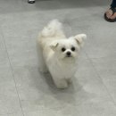 이뻐질개 이미지