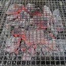 서파장어랜드 이미지