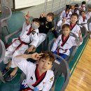 호랑이태권도 이미지