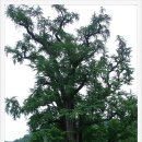 민갈비앤쌈밥 이미지