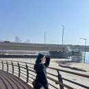 251 | 자라 프릴 린넨 스커트 | 캉캉 미디 스커트 7200/090/251 후기