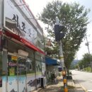 시조본가 네이버블로그