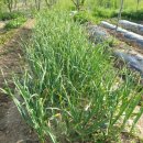 까치철물 이미지