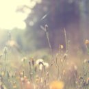 들꽃이야기 작은도서관 이미지