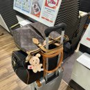 애월앤티 | JJD에서 살아남기