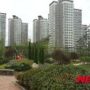 도심수목관리