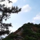 밀양고등학교 이미지