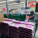 지에스(GS)25 운정한빛 | 운정 한빛마을GS더프레시 마트 오픈 사은행사 할인행사 이름 써있는 칸쵸랑 핫한 메롱바