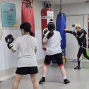 킥복싱 아레스짐 이미지