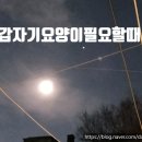 서원동-48 네이버블로그