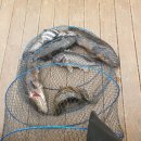 아크라컴퍼니 이미지