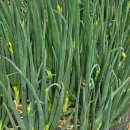 (주)삼동 이미지