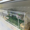 햄스터 분양 로던트 클럽 충남점 이미지