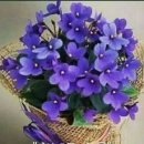 대대당구클럽 이미지