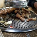 백돈광주