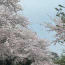 대륜세탁소 이미지