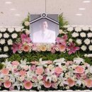 송파미소병원 이미지