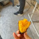 부산미래중장비학원