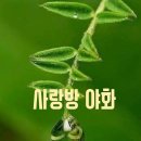 수다방 이미지
