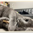 아이조아요양보호소 전남광주점 이미지